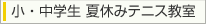 小・中学生 夏休みテニス教室