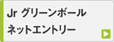 グリーンボール 第4戦 ネットエントリー