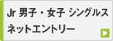 ジュニア大会 男子・女子 シングルス ネットエントリー