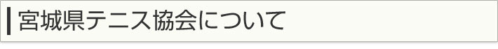 宮城県テニス協会について